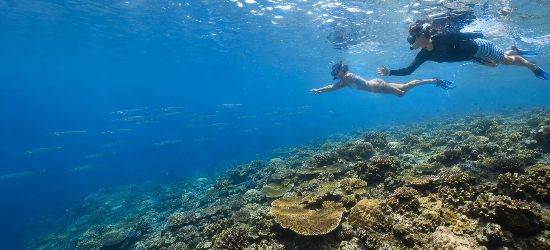 A sanctuary guide and visitor snorkeling above the Tulapos reef